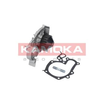 Pompe à eau KAMOKA OEM 7701633125