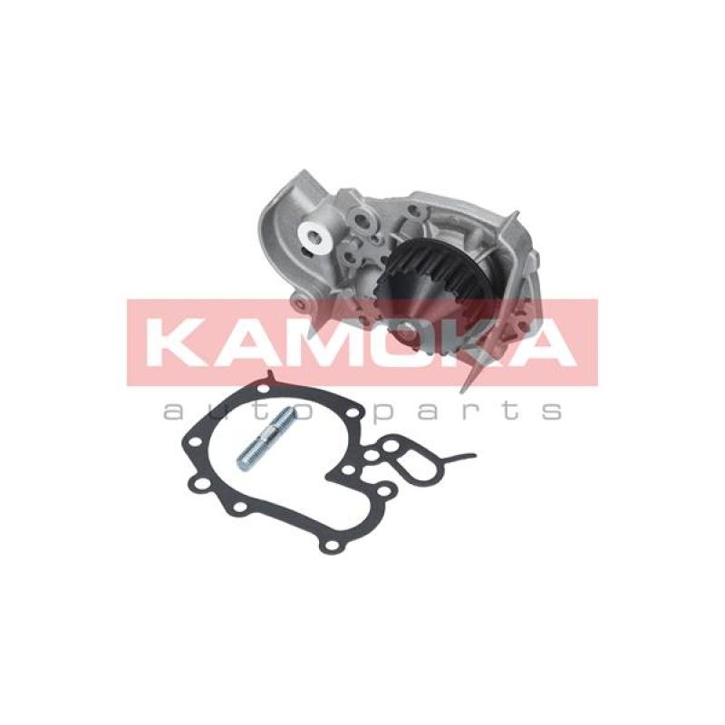 Pompe à eau KAMOKA T0241 - Visuel 1