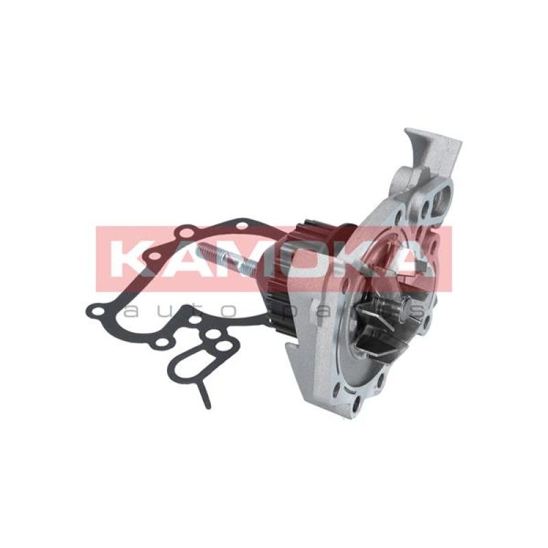 Pompe à eau KAMOKA T0241 - Visuel 2