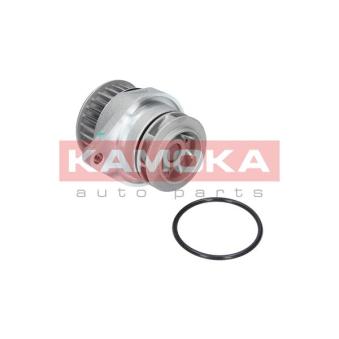 Pompe à eau KAMOKA OEM 030121008R Pompe à eau KAMOKA OEM 030121008R