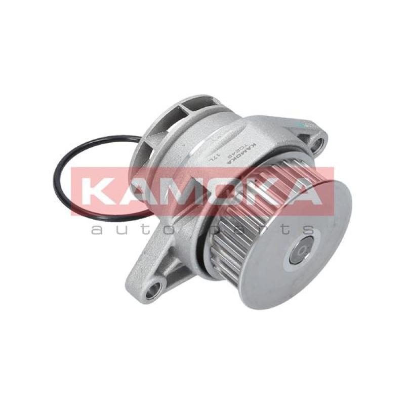 Pompe à eau KAMOKA T0249 - Visuel 2