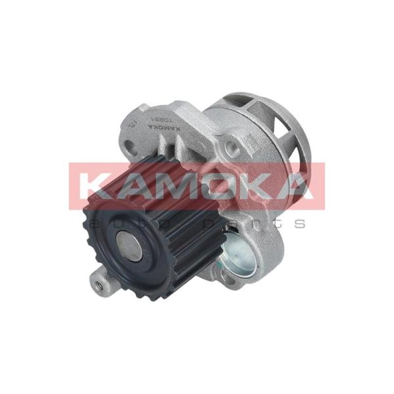 Pompe à eau KAMOKA T0251 - Visuel 2