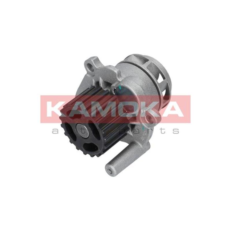 Pompe à eau KAMOKA T0253 - Visuel 1