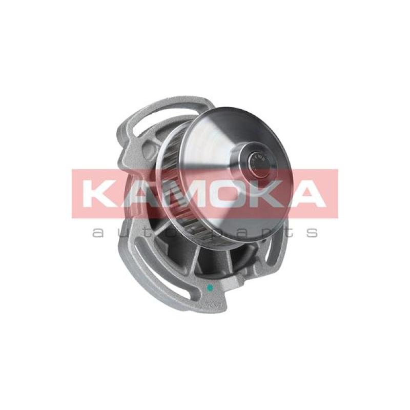 Pompe à eau KAMOKA T0254 - Visuel 1