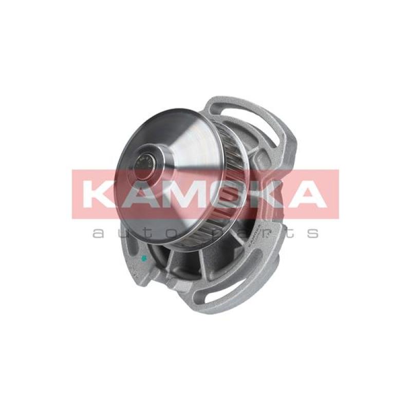 Pompe à eau KAMOKA T0254 - Visuel 2