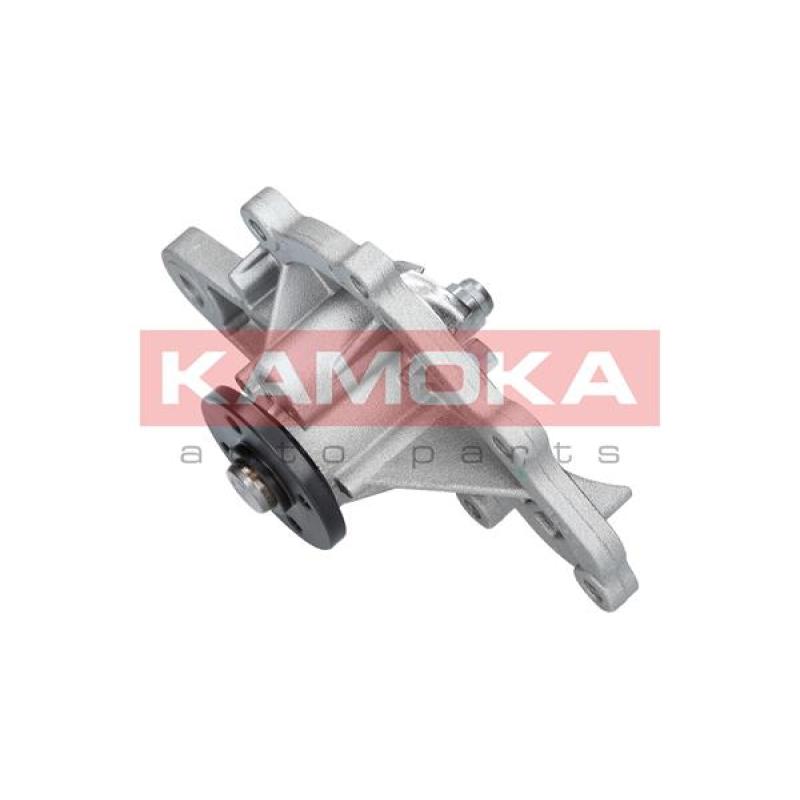 Pompe à eau KAMOKA T0259 - Visuel 1