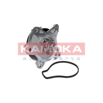 Pompe à eau KAMOKA T0262