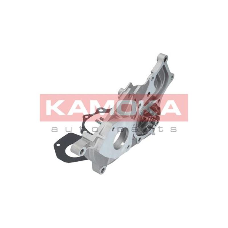 Pompe à eau KAMOKA T0264 - Visuel 1