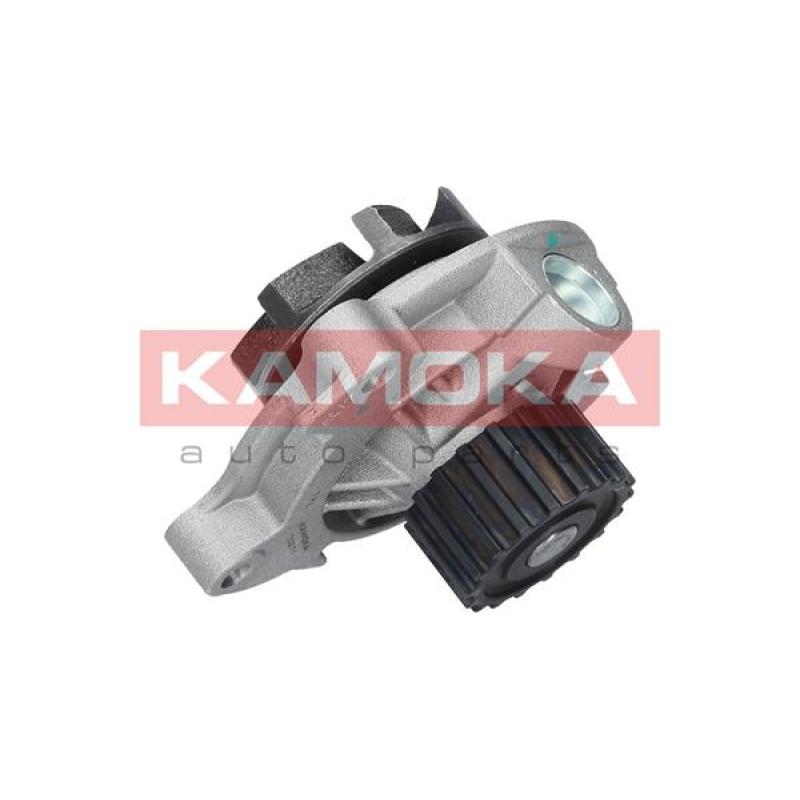 Pompe à eau KAMOKA T0271 - Visuel 1