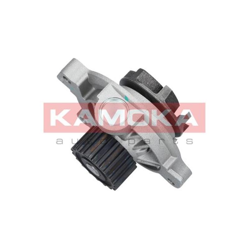 Pompe à eau KAMOKA T0271 - Visuel 2