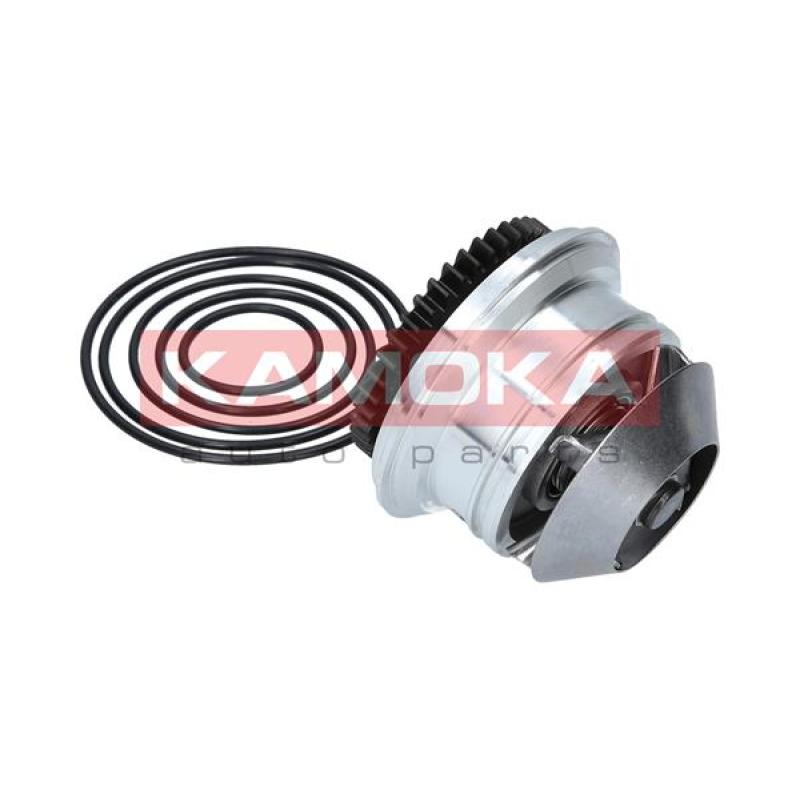 Pompe à eau KAMOKA T0273 - Visuel 2