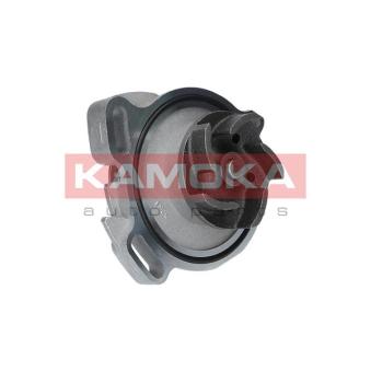 Pompe à eau KAMOKA OEM 023121004V Pompe à eau KAMOKA OEM 023121004V