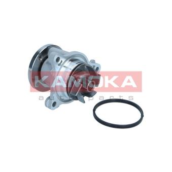 Pompe à eau, refroidissement du moteur KAMOKA OEM 2510003020