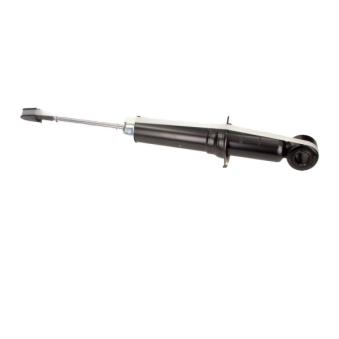 Jeu de 2 amortisseurs arrière MAXGEAR OEM 4853002241