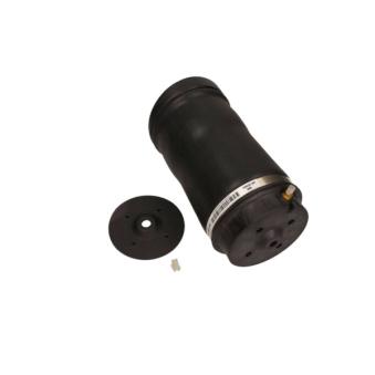 Ressort pneumatique, châssis MAXGEAR OEM A2513200425