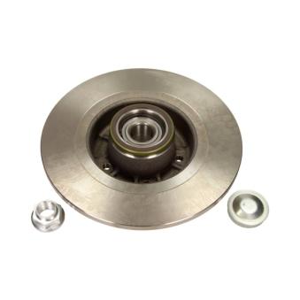 Jeu de 2 disques de frein arrière MAXGEAR OEM 8200367094