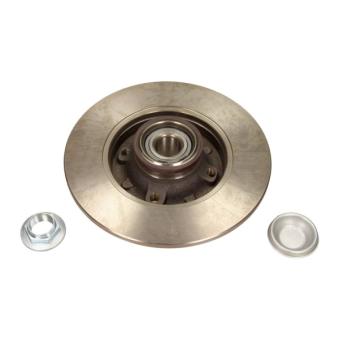 Jeu de 2 disques de frein arrière MAXGEAR OEM 424932