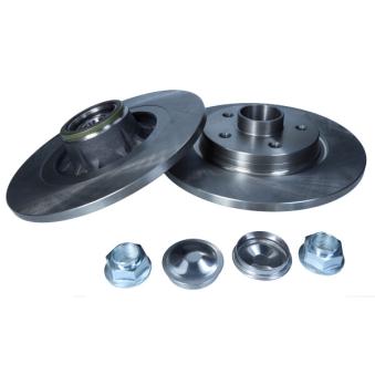 Jeu de 2 disques de frein arrière MAXGEAR OEM 432023939R