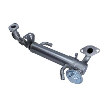 Radiateur, réaspiration des gaz d'échappement MAXGEAR OEM 504178568