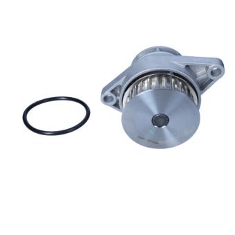 Pompe à eau MAXGEAR OEM 036121005F