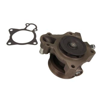 Pompe à eau MAXGEAR OEM 504102572