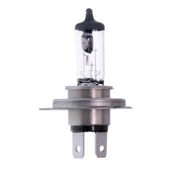 Ampoule, projecteur longue portée MAXGEAR OEM 183410749