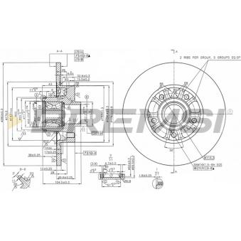 Jeu de 2 disques de frein arrière BREMSI OEM 6000620071