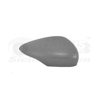 Revêtement, rétroviseur extérieur VAN WEZEL OEM 1633085