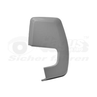 Revêtement, rétroviseur extérieur VAN WEZEL 1987843