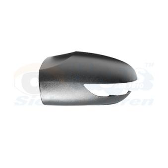 Revêtement, rétroviseur extérieur VAN WEZEL OEM 16981101607C45