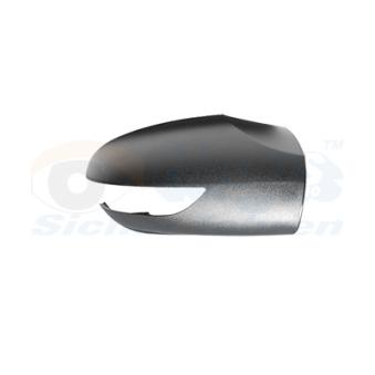 Revêtement, rétroviseur extérieur VAN WEZEL OEM A16981102607C45