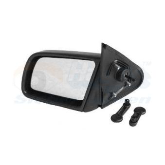Rétroviseur extérieur VAN WEZEL OEM 1428770