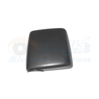 Revêtement, rétroviseur extérieur VAN WEZEL OEM 24432475