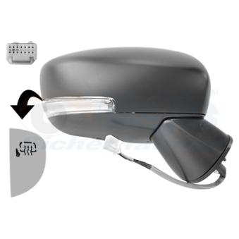 Rétroviseur extérieur VAN WEZEL OEM 8471062RM0