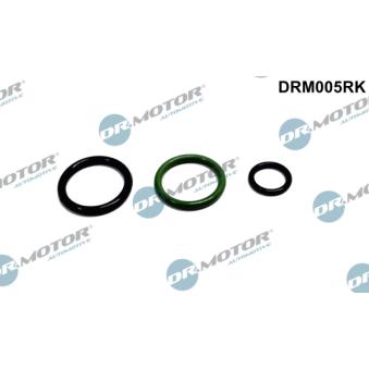 Kit de réparation, unité pompe-injecteur Dr.Motor [DRM005RK]