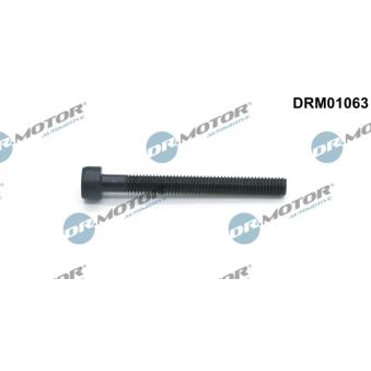 Vis, support pour controleur d'injecteurs Dr.Motor [DRM01063]
