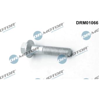 Vis, support pour controleur d'injecteurs Dr.Motor [DRM01066]