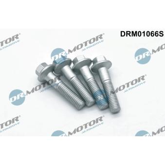 Vis, support pour controleur d'injecteurs Dr.Motor OEM 1444999