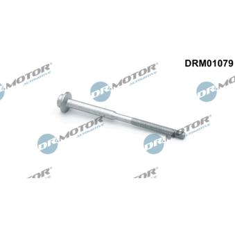 Vis, support pour controleur d'injecteurs Dr.Motor [DRM01079]