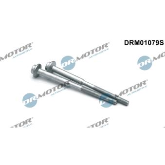 Vis, support pour controleur d'injecteurs Dr.Motor DRM01079S