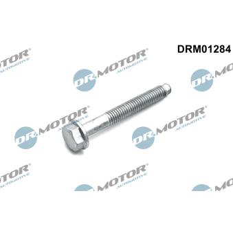 Vis, support pour controleur d'injecteurs Dr.Motor DRM01284 pour SEAT TARRACO 1.6 CDTI - 110cv