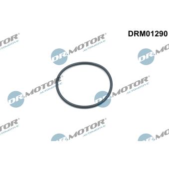 Bague d'etanchéité, tendeur de chaîne de distribution Dr.Motor OEM t4n19140