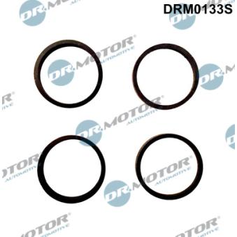 Jeu de joints d'étanchéité, collecteur d'admission Dr.Motor [DRM0133S]