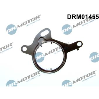 Joint, pompe à vide Dr.Motor OEM 31422232
