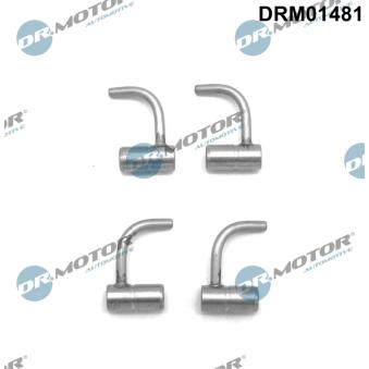 Gicleur d'huile, refroidissement du piston Dr.Motor DRM01481 pour RENAULT LOGAN 1.5 DCI - 110cv