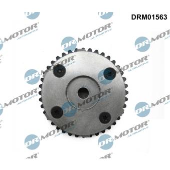 Dispositif de réglage électrique d'arbre à cames Dr.Motor OEM CJ5E6C524AE