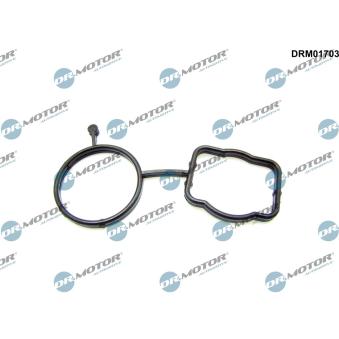 Joint d'étanchéité, boîtier du thermostat Dr.Motor DRM01703 pour RENAULT MASTER 55 TFSI e quattro - 252cv