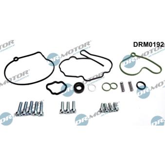 Kit de réparation, pompe à vide (freinage) Dr.Motor DRM0192 pour AUDI A2 1.4 TDI - 90cv
