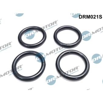 Joint d'étanchéité, collecteur d'admission Dr.Motor DRM021S