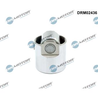 Pilon, Pompe à haute pression Dr.Motor DRM02436
